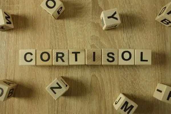 The Hidden Connection: How Stress Shapes Your Fitness and Body Composition 2 Image saying "Cortisol" and how stress Devizes impacts your wellbeing and bodies shape